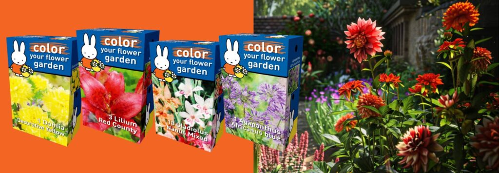 miffy flower bulb collection by philos.vision